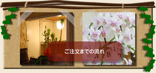 �������܂ł̗���@�~�j�ϗt�A���@��A���@���[�Y�K�[�f��