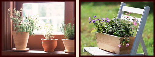 �p���ŌÂŉ�����p�B�̃t�����[�X�N�[���ɗ��w�����X�����M��̃I���W�i���񂹐A�������͂��v���܂��B